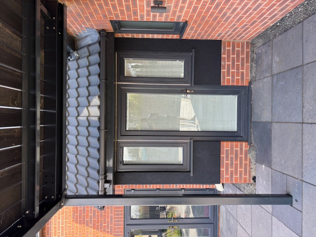 Silicone Render in Diss